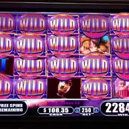 Welder won over $69,000 in online casino winnings